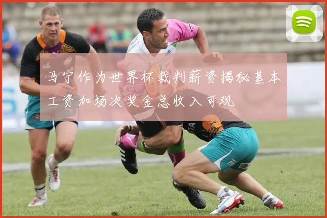 马宁作为世界杯裁判薪资揭秘基本工资加场次奖金总收入可观