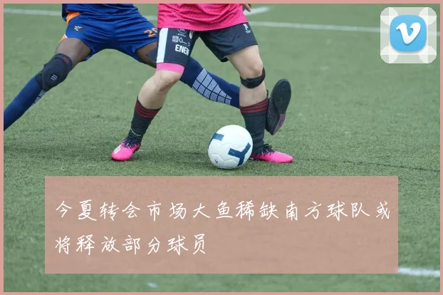 今夏转会市场大鱼稀缺南方球队或将释放部分球员