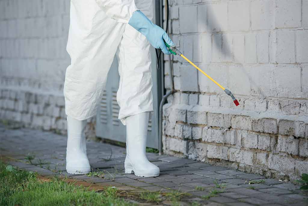 a worker spraying pesticide chemicals on a property